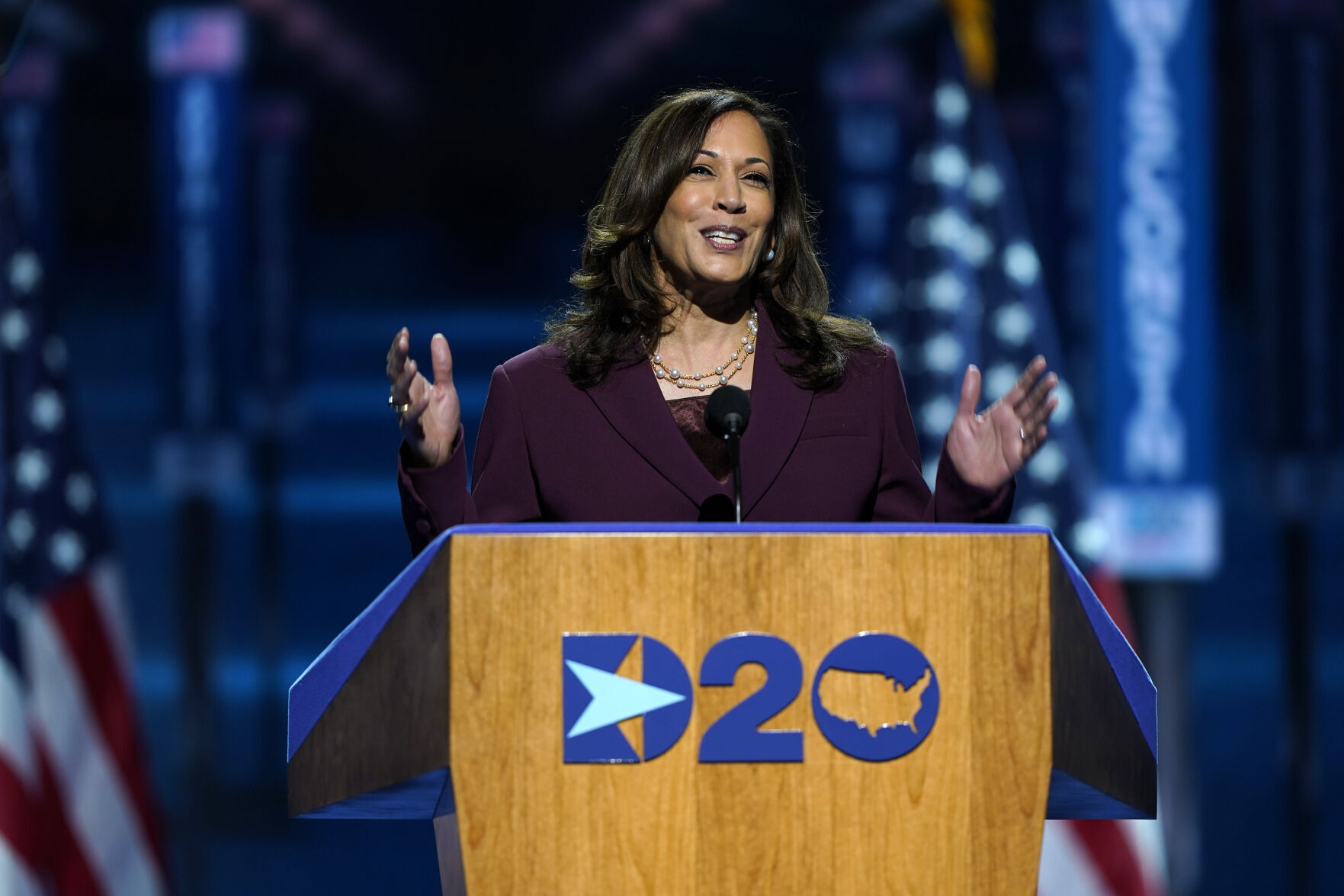 APTOPIX Election 2020 DNC